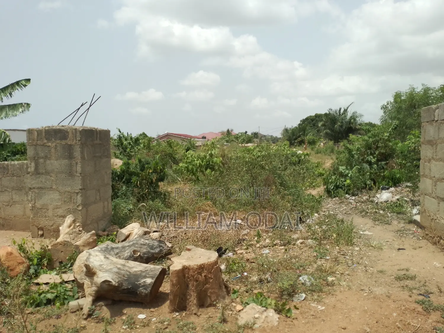 Half Plot at Ashongman