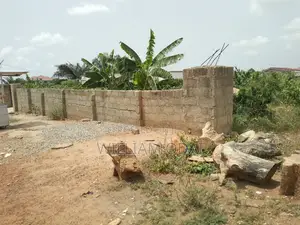 Half Plot at Ashongman