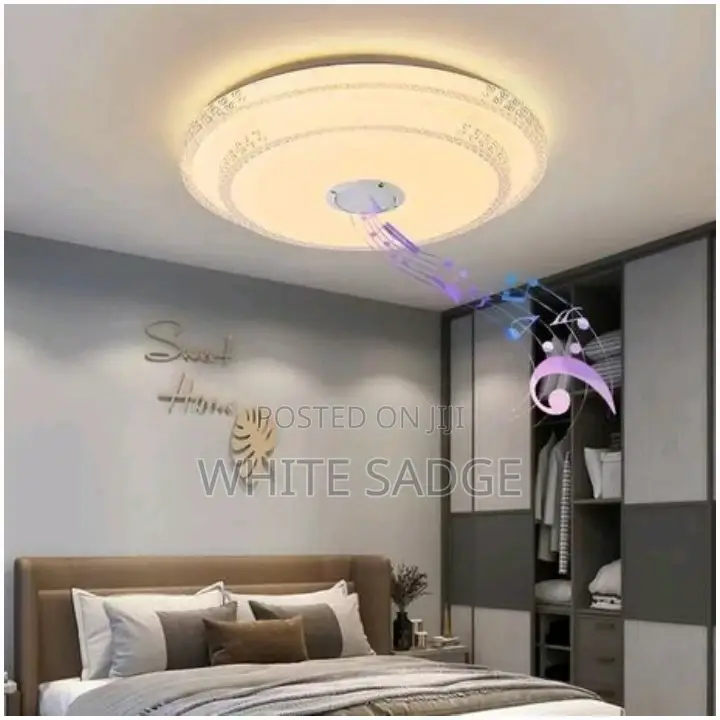 2layer Bluetooth Speaker Ceiling Light