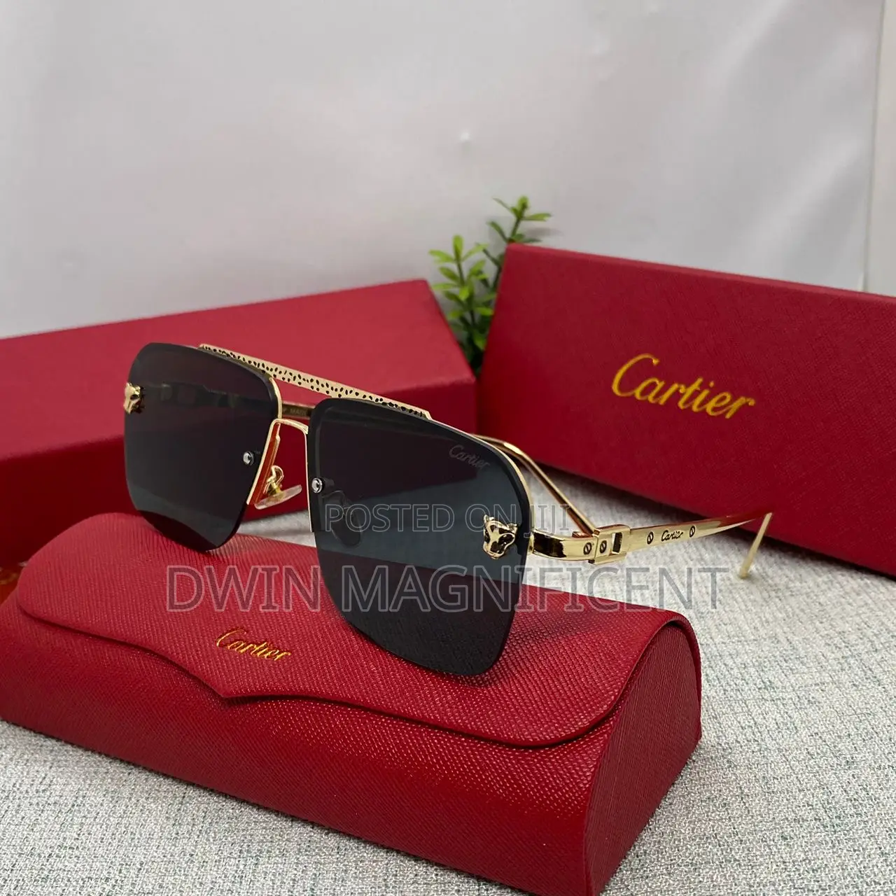 High-Caliber Cartier Glasses