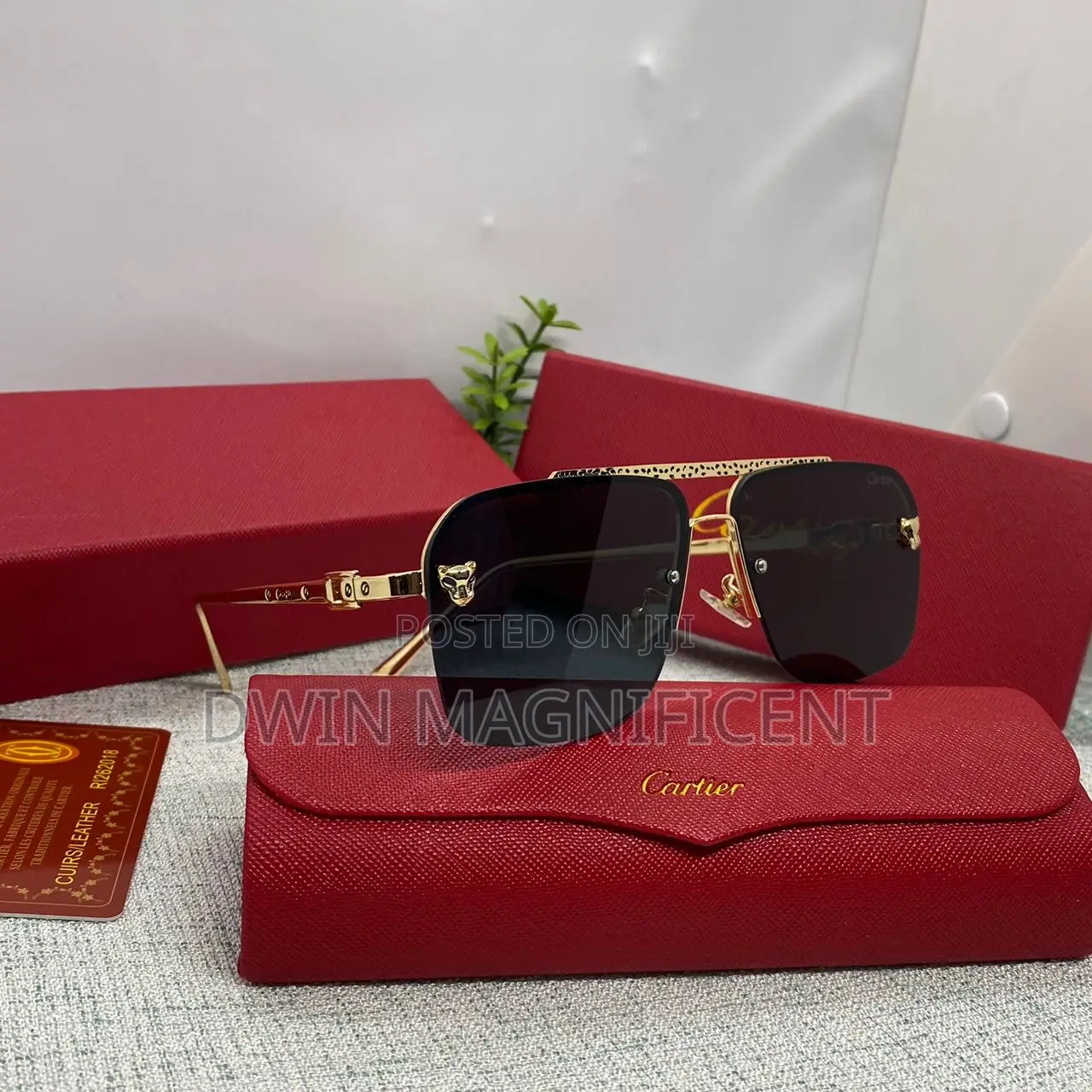 High-Caliber Cartier Glasses