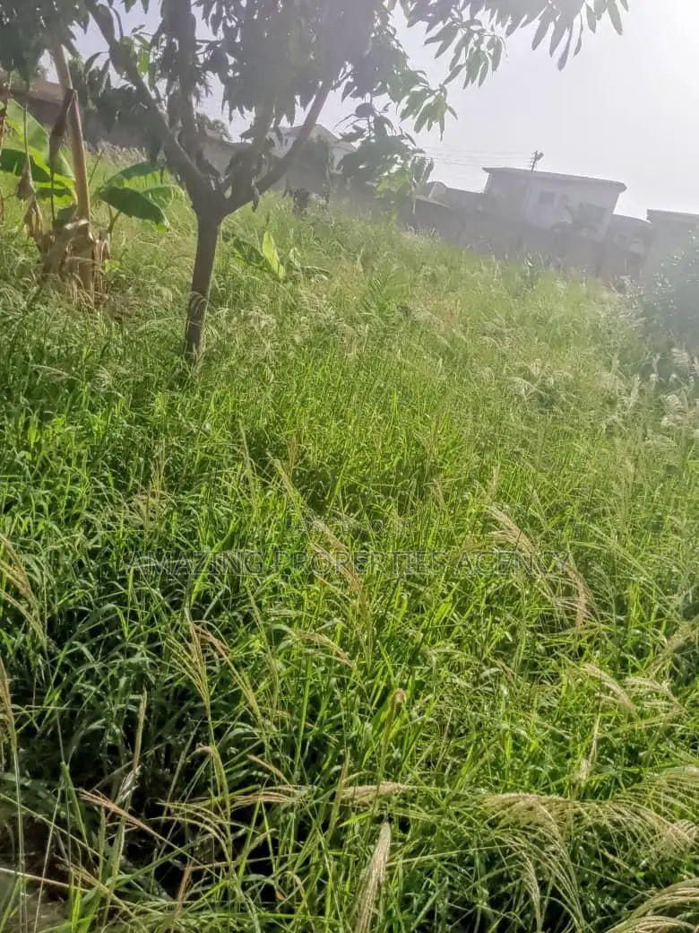 15 Acres of Land at Adenta