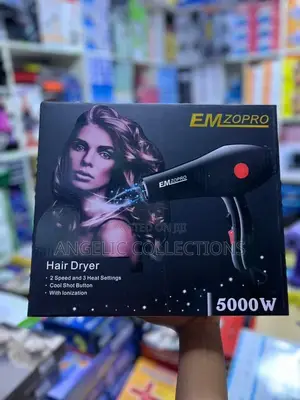 Hair Dryer
