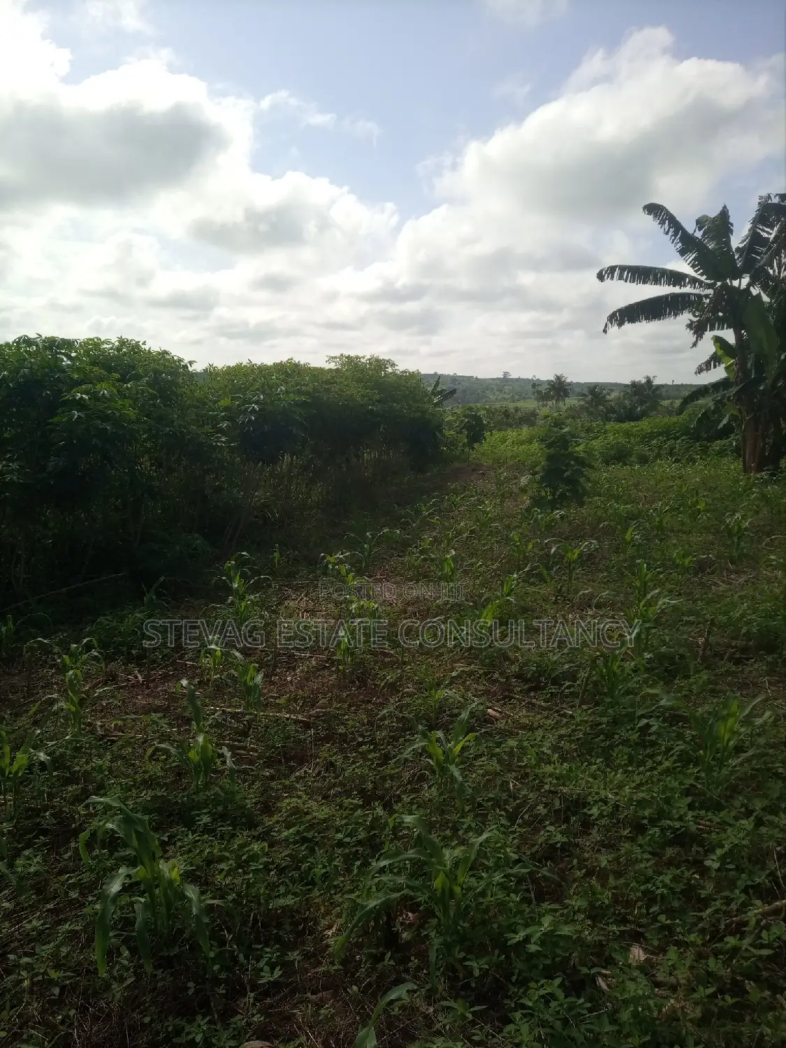 Alpha Land for Sale at Gomoa Buduatta