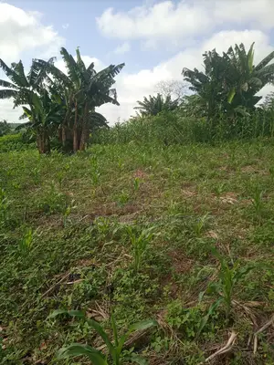 Alpha Land for Sale at Gomoa Buduatta