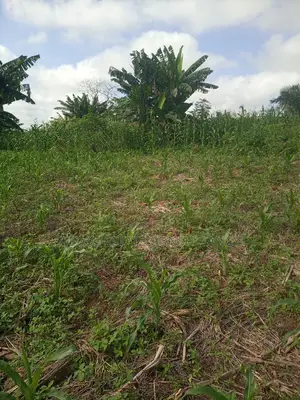 Alpha Land for Sale at Gomoa Buduatta