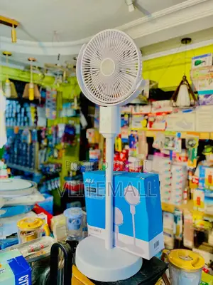 Portable Oscillating Standing Fan