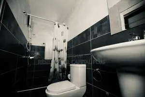 1bdrm Apartment in Spintex, Baatsona Total for rent