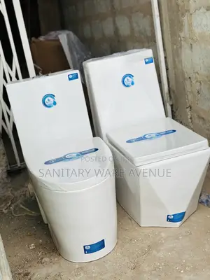 Combined Water Closet - Master Bathroom Toilet - Modern WC
