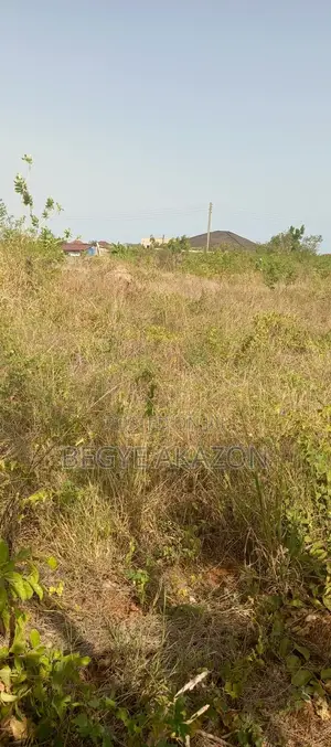 5 Plot Of Land For Sale At Wisconsin University