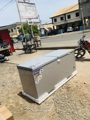 Shop Nasco Nas-1200fl-Dd Double Door Chest Freezer.