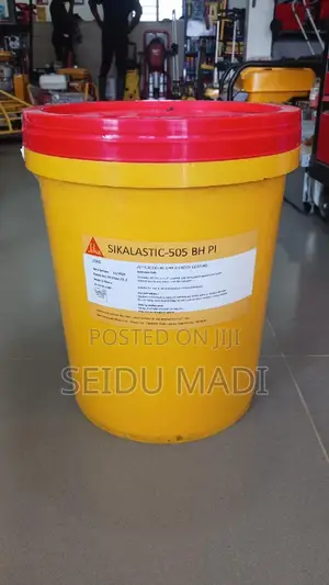 Roof Leakages Bitumen