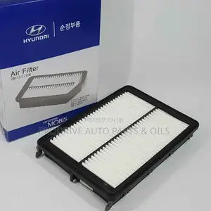 Hyundai Sonata Air Filter (C1100)