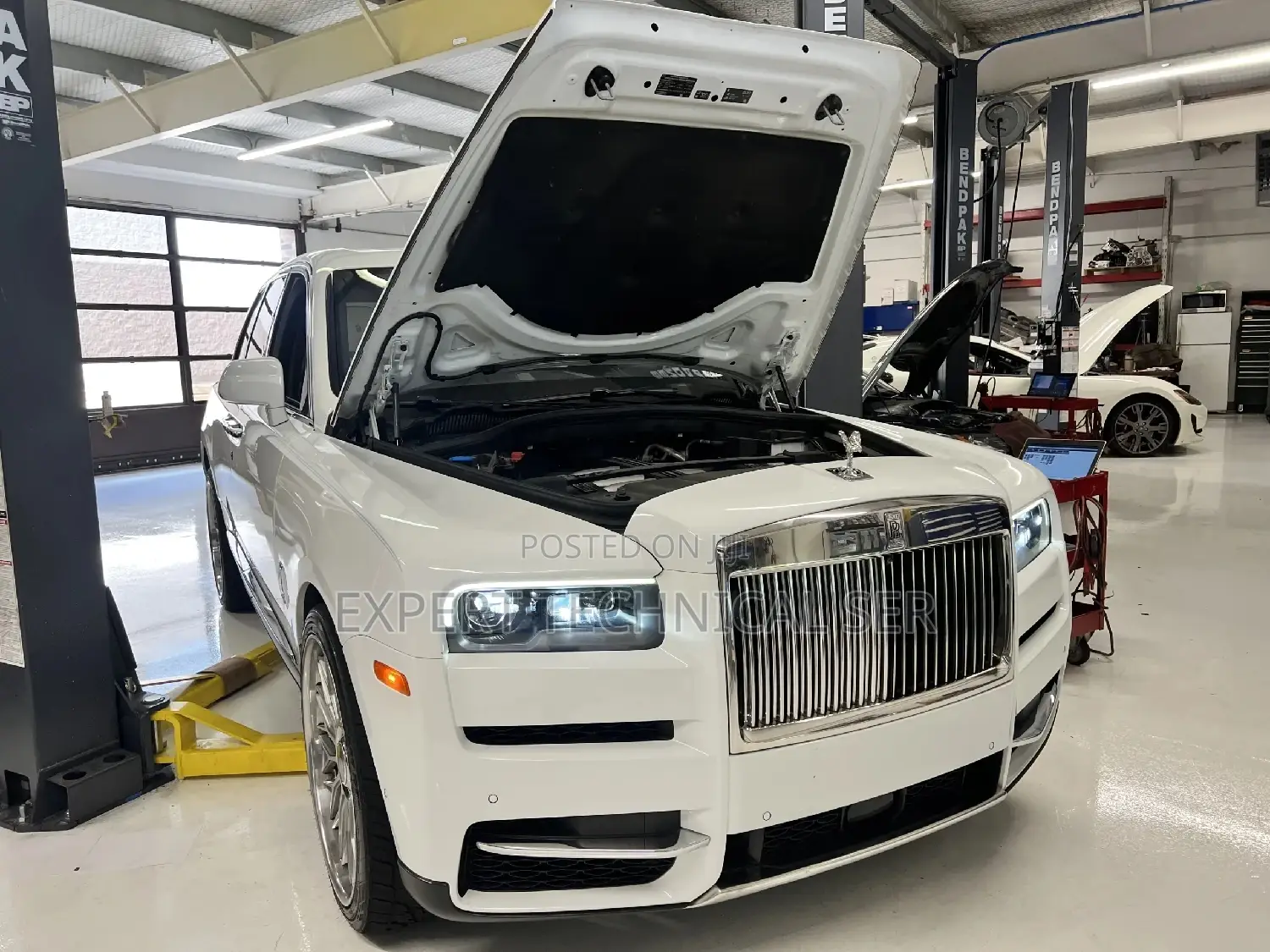 Rolls Royce, Lamborghini, Bentley, Masaraty, Bugatti, Cayenne ,