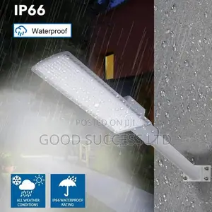 100watt Street Light and Bar