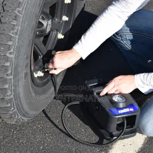 The Campbell Hausfeld 120-Volt Inflator (RP410099AV)