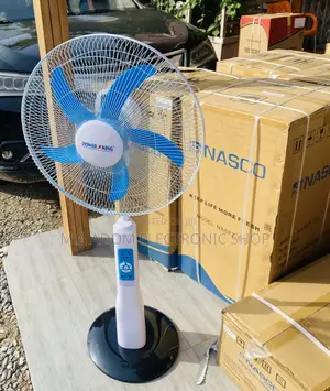 Affordable Power King Rechargeable Standing Fan + Remote.