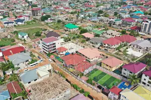 Drone Services