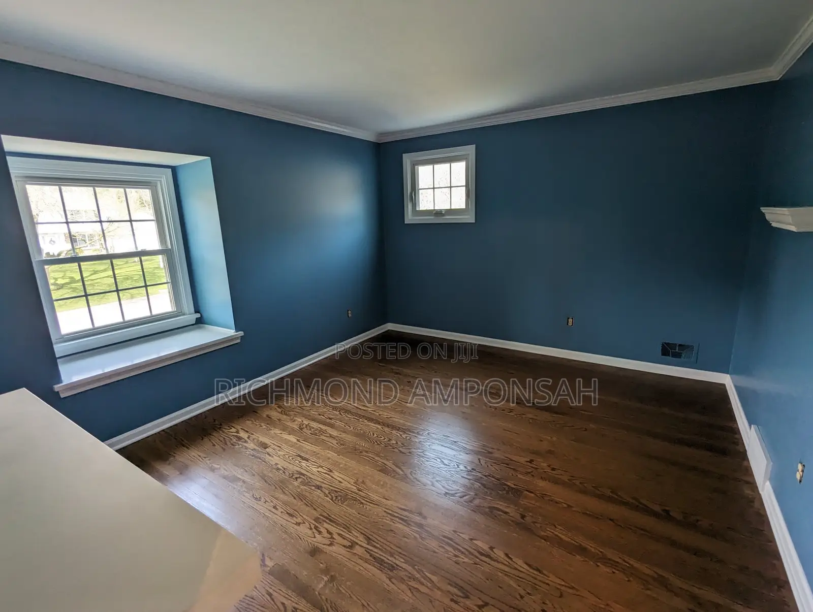 Professional Painter