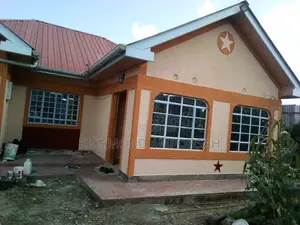 Professional Painter