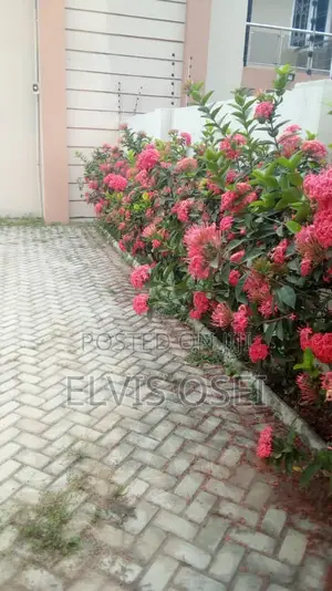 4bdrm House in Tantra Hills, Accra Metropolitan for rent