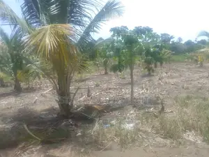 Fully Titled Value Land at Potsin Off the Winneba Road