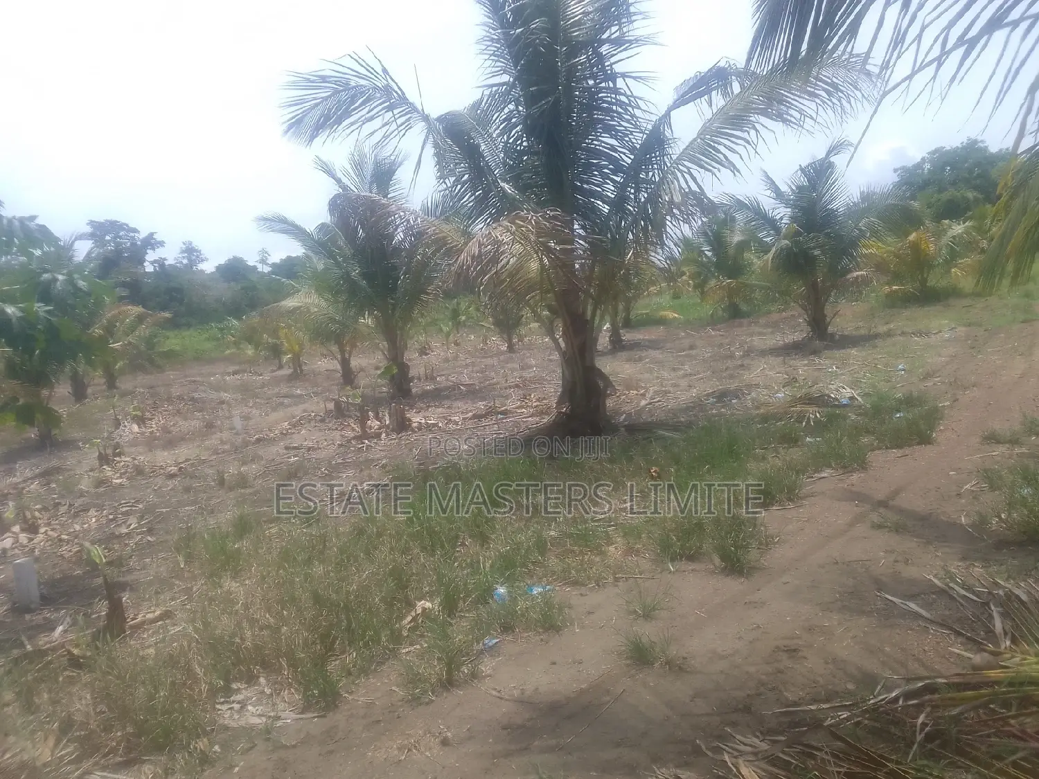 Fully Titled Value Land at Potsin Off the Winneba Road