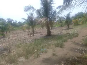 Fully Titled Value Land at Potsin Off the Winneba Road