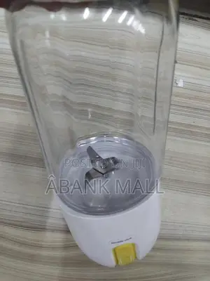 Mini Juicer