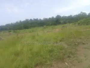 Genuine and Titled Land for Sale at Potsin