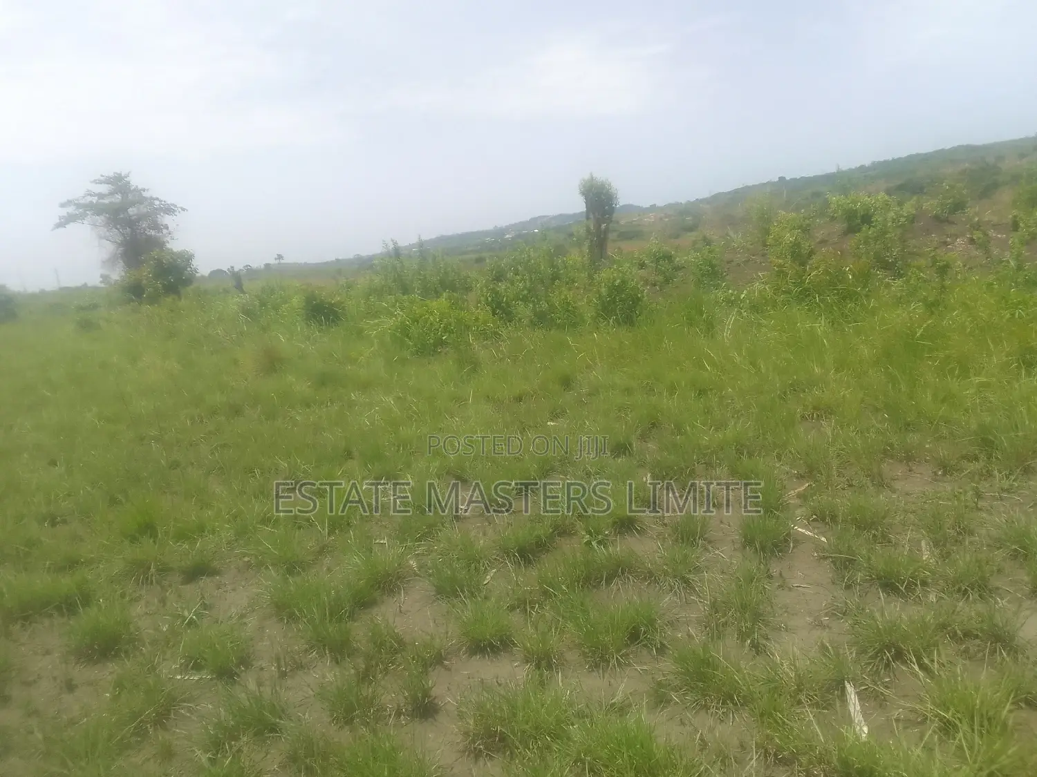 Genuine and Titled Land for Sale at Potsin