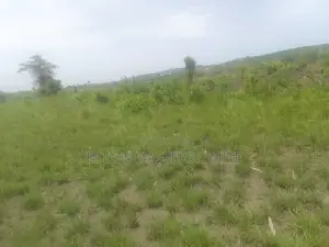 Genuine and Titled Land for Sale at Potsin
