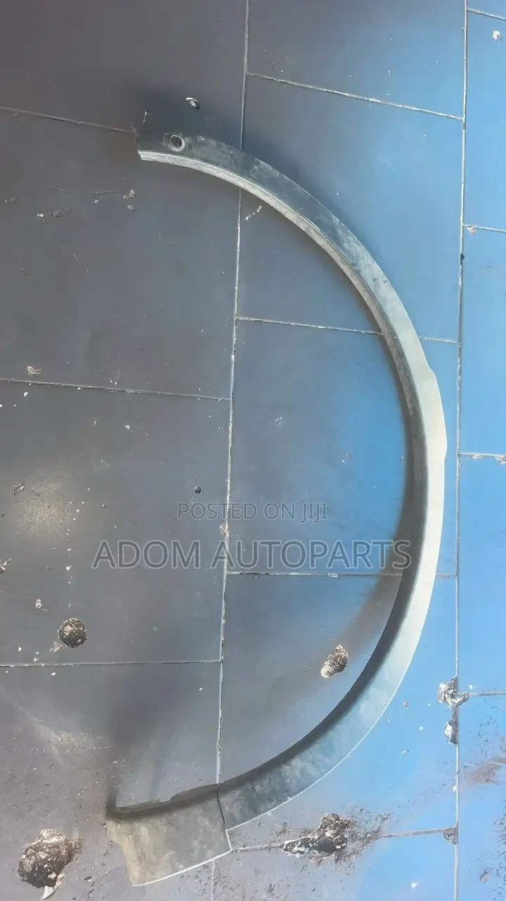 Land Rover Range Rover Discovery Fender Moulding