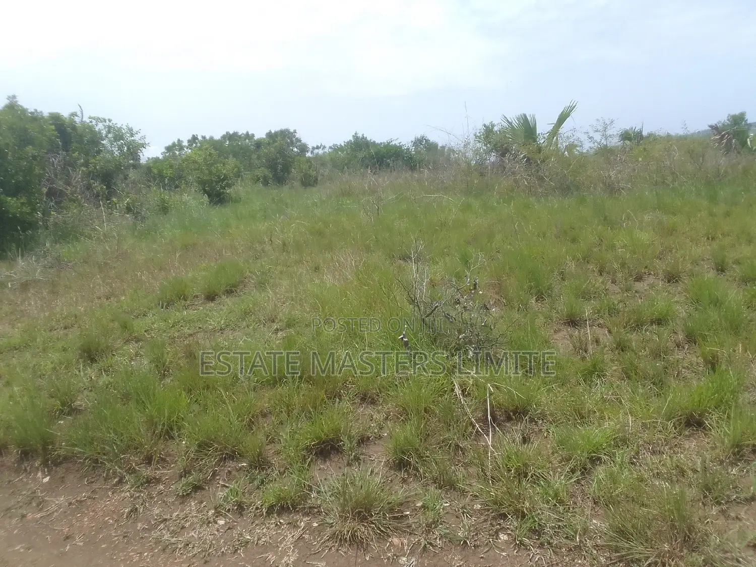 Stress Free Plot for Sale at Potsin Off Accra Winneba Road