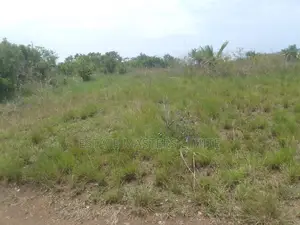 Stress Free Plot for Sale at Potsin Off Accra Winneba Road