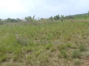 Stress Free Plot for Sale at Potsin Off Accra Winneba Road