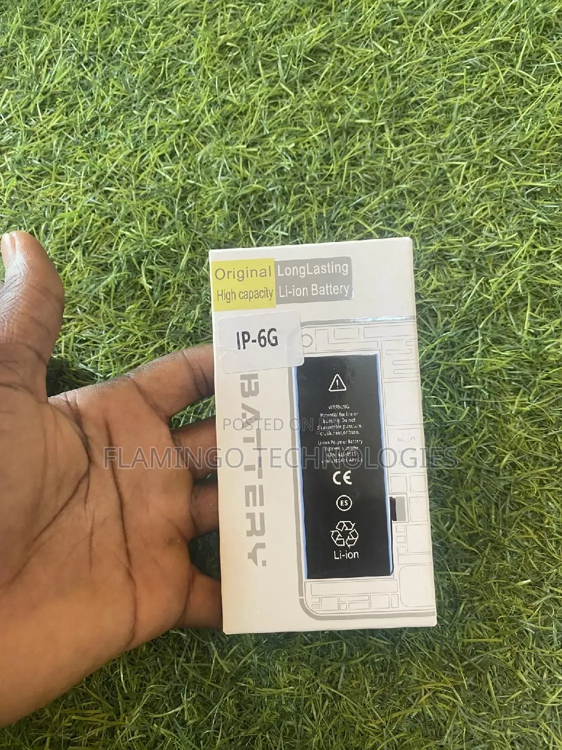 iPhone 6 Battery