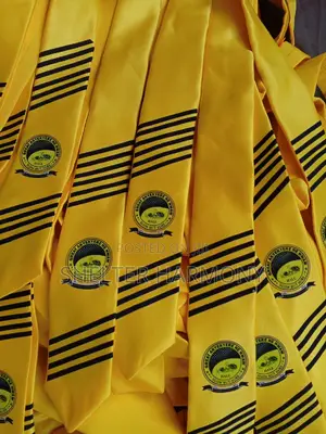 Men Flying Tie
