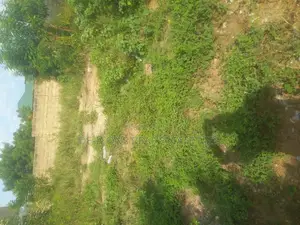 6 Shops Built in Front of a Full Plot, Millennium- Kasoa