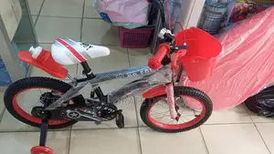 Bicycles (Kids)