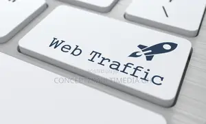 Organic Website Traffic