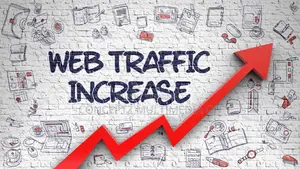 Organic Website Traffic