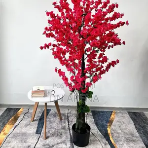 Blossom Tree Available
Height: 160cm