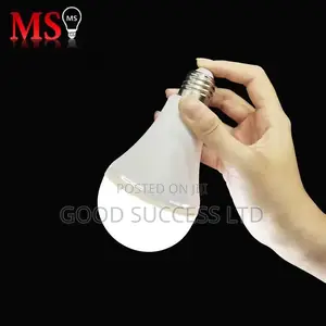Rechargeable Bulb