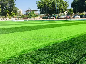 Fifa Approved Stem/Football Grass