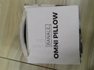 Omni Pillow