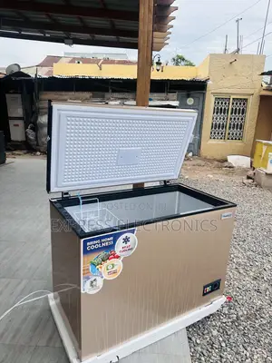 High Quality Gold Chest Freezer Nas400fl 288L Nasco