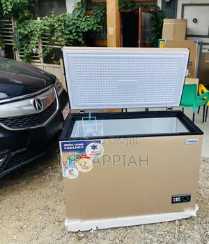 Latest Nasco Nas400fl Single Door Chest Freezer(288ltr).