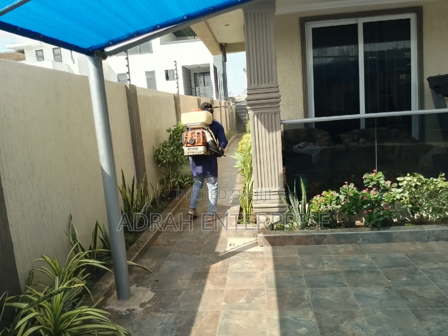Mosquitoes, Cockroach, Bedbugs,Ant, Fumigation Service