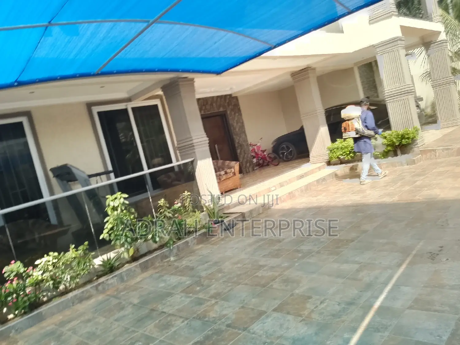 Mosquitoes, Cockroach, Bedbugs,Ant, Fumigation Service